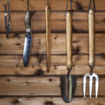 Organise your garden shed.